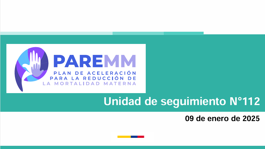 Vista previa del anexo de esperiencias exitosas