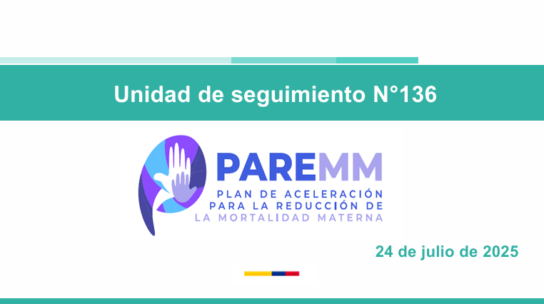 Vista previa del anexo de esperiencias exitosas