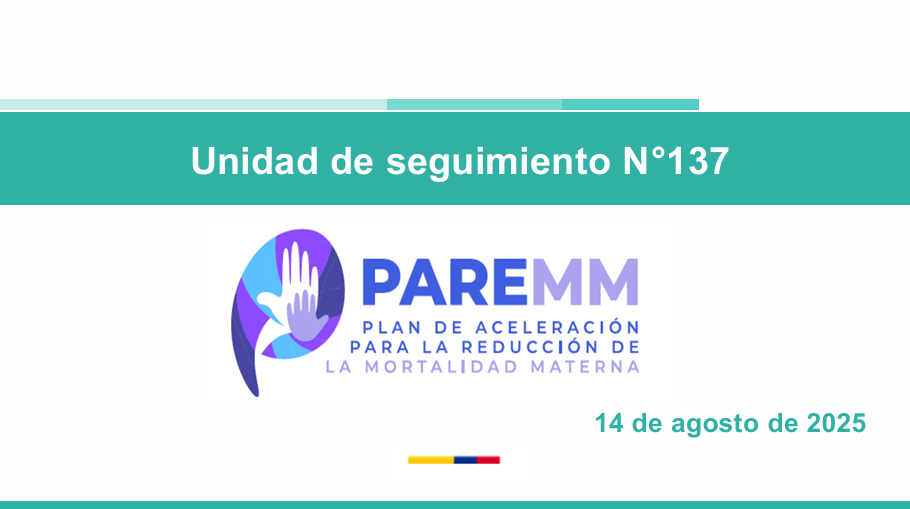 Vista previa del anexo de esperiencias exitosas