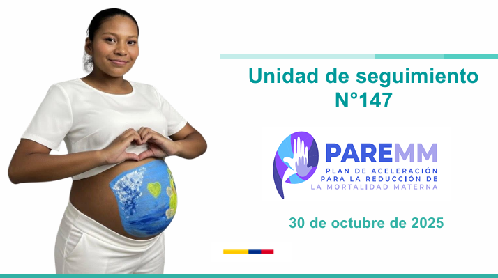 Vista previa del anexo de esperiencias exitosas